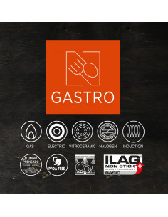 CACEROLA BAJA 26CM C/TAPA GASTRO QUTTIN 2